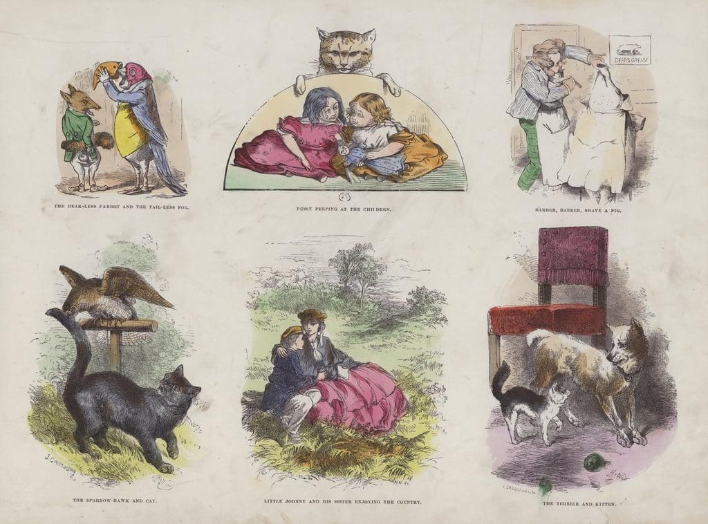  Page from the Attractive Picture Book (coloured engraving) by English School