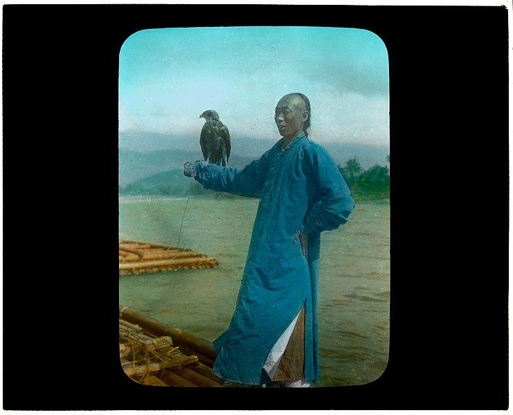 Person posing with bird (in China), by unknown photographer, 1895-1912, lantern slide, from the Digi