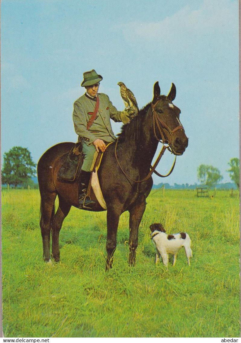 Jagd Hunting Chasse Fauconier Falconry Falconer Falnener Hunter Faucon Oiseaux Horse Chien Cpm. Old