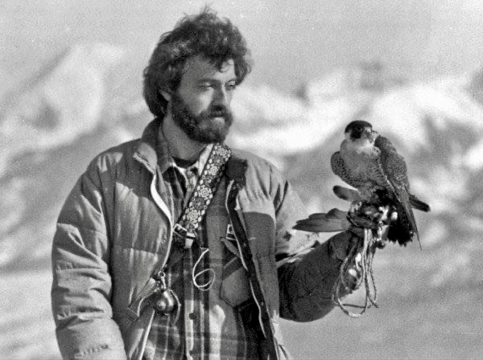 Tim Gallagher with his tiercel tundra Silver at the 1978 NAFA meet in Alamosa, Colorado. Photo by St